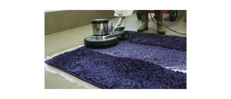 best cleaner for pet urine on carpets