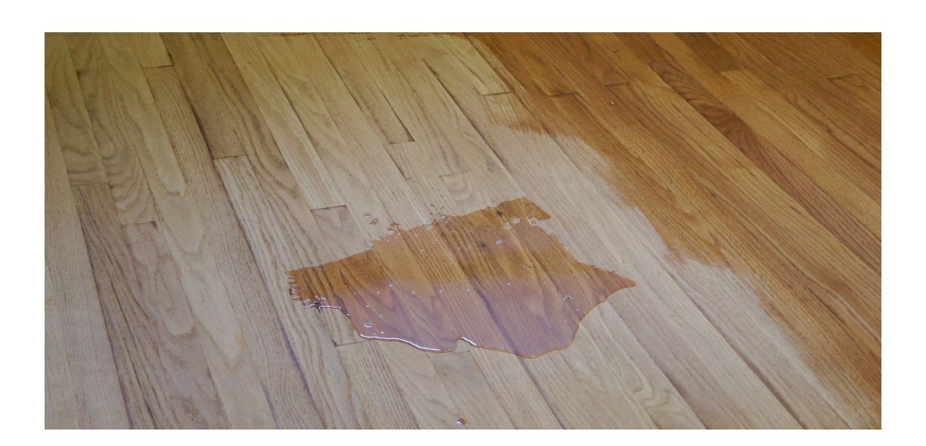 How Do You Remove Pet Urine Stains From Hardwood Floors 