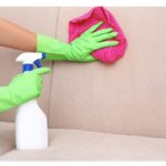 how to clean couch with pet urine