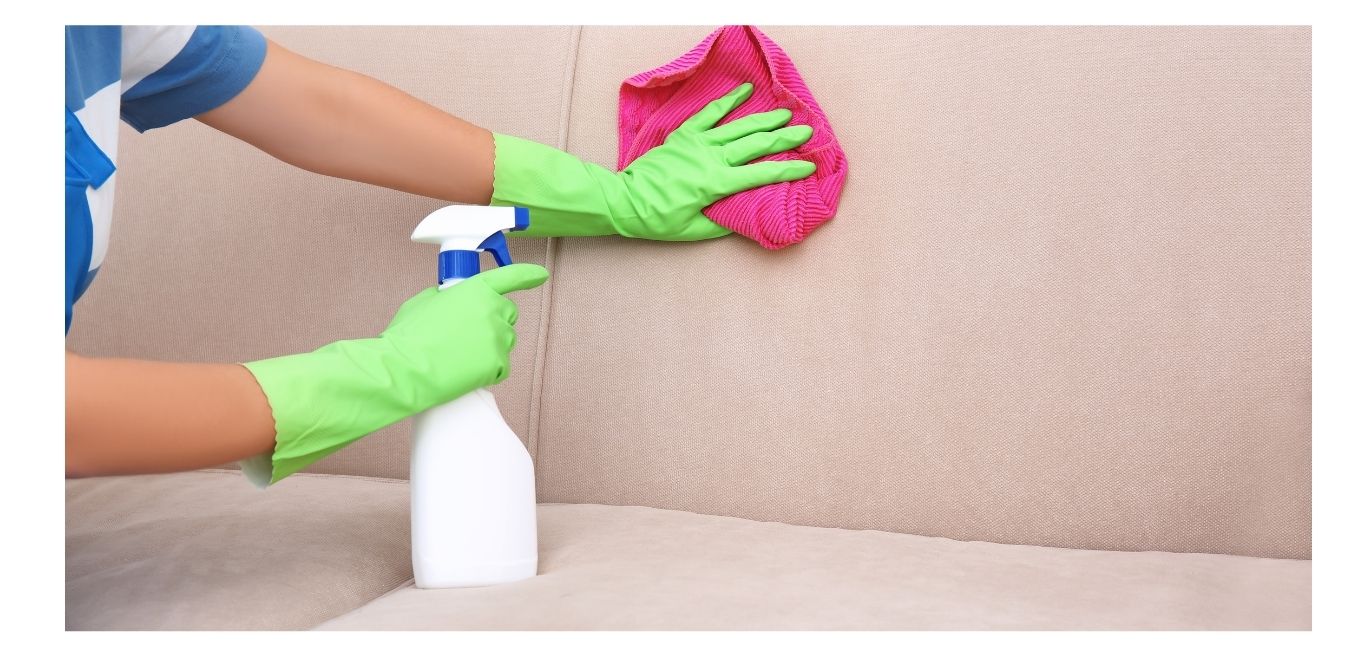 how to clean couch with pet urine